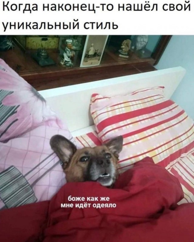 Картинки и мемы для настроения - 119
