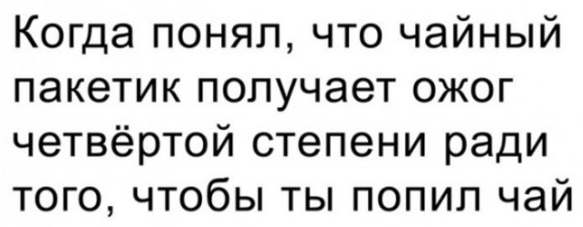 Весёлый полтишок 21.12.2022