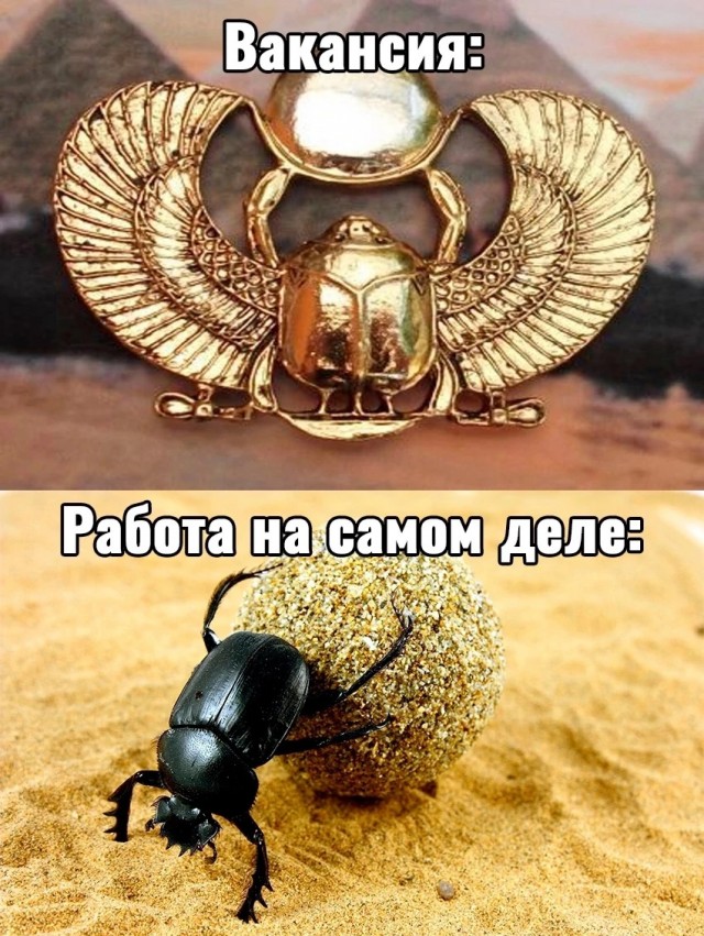 Немного картинок и прочей хреноты Vol. 20