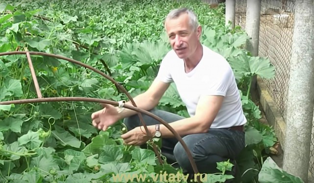 А как вам такое?⁠⁠