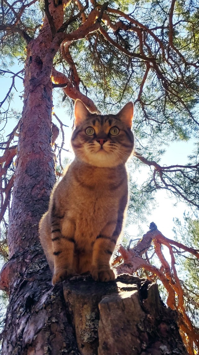 Неприемлемо