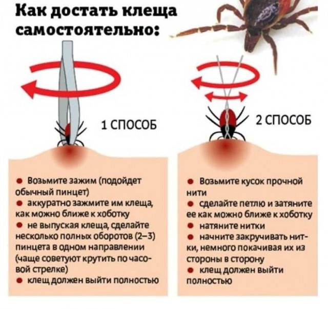 Победная поступь идиотизма по планете – том 13
