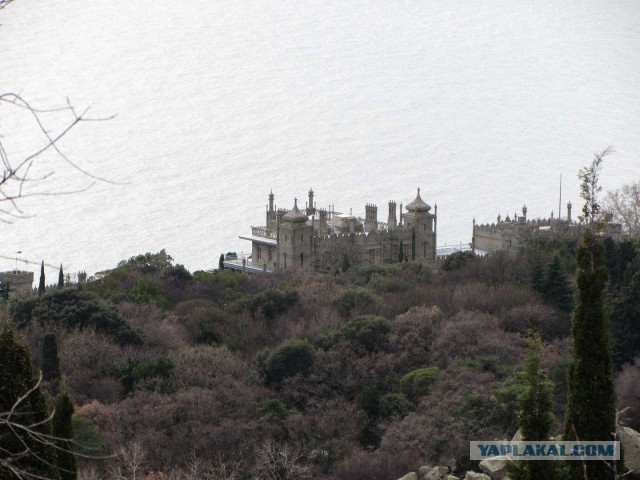 Крым в феврале или "Не стреляйте в белых лебедей!"