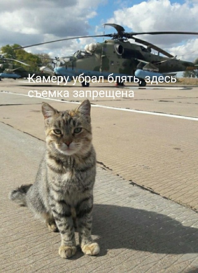 Помощник авиатехника