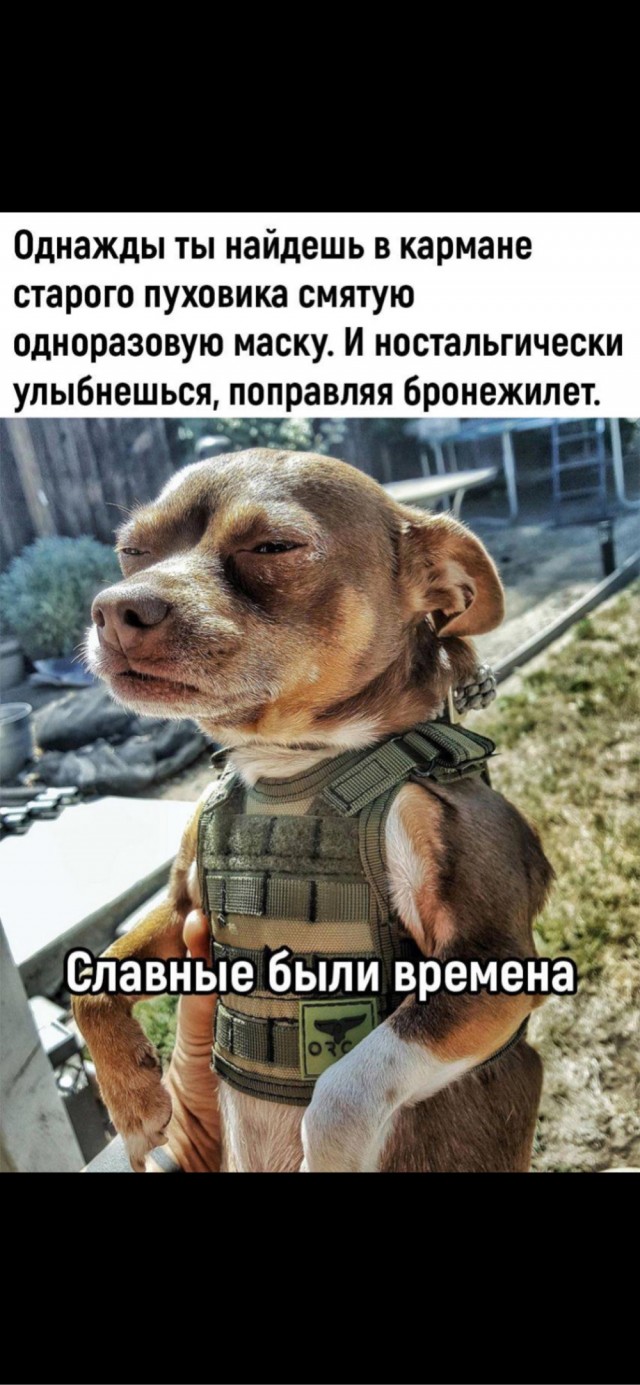Давненько это было