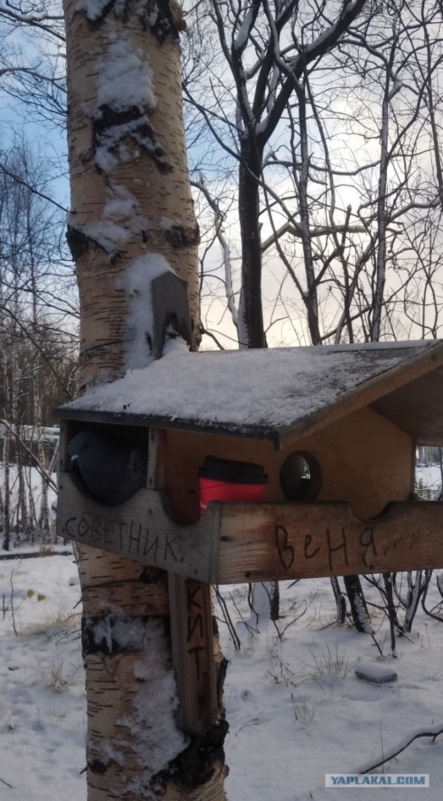 Русский север