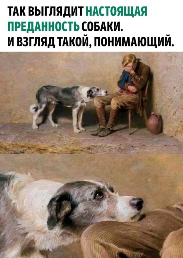 Изумительные существа