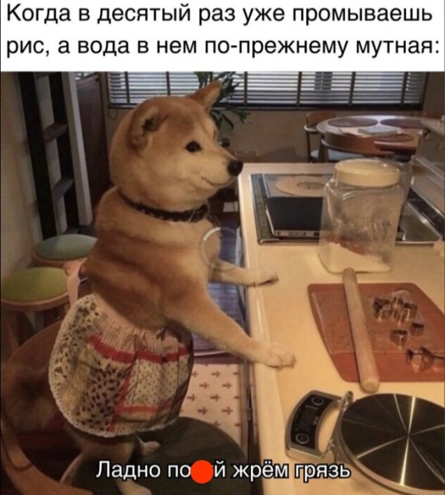 Всего понемногу. От 14.08.23
