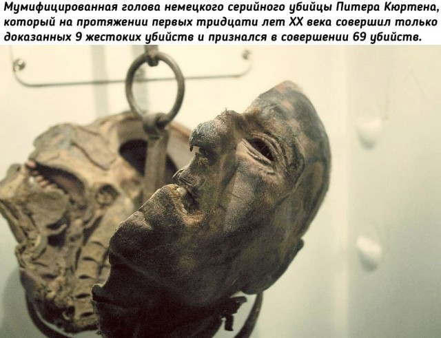Небольшая подборка исторических фото (15.08)