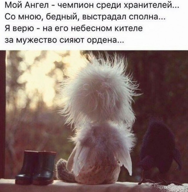 15 неочевидных фактов, которые помогут утолить вашу тягу к знаниям