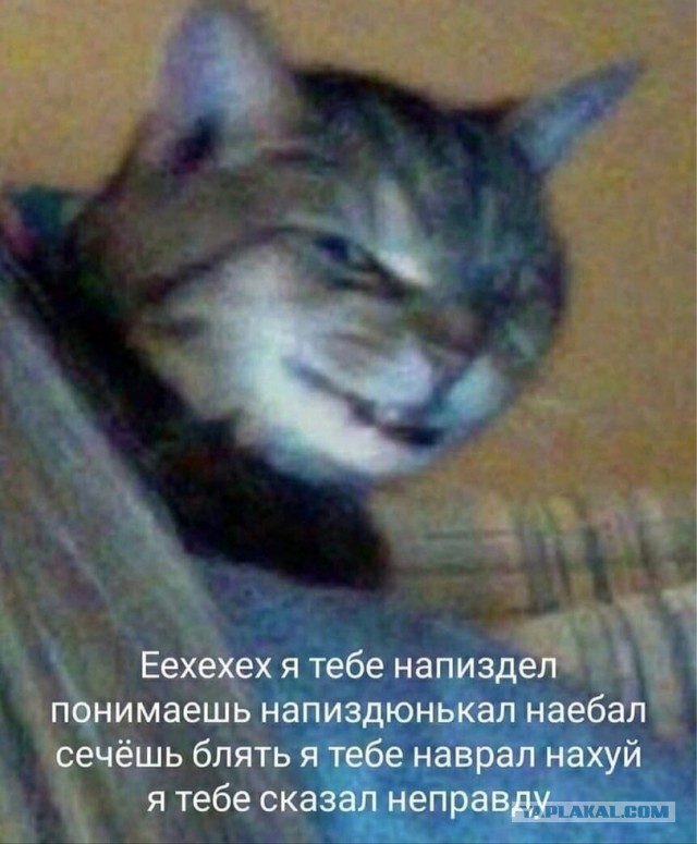 Анонсирована встреча Путина с «ответами на многие вопросы»