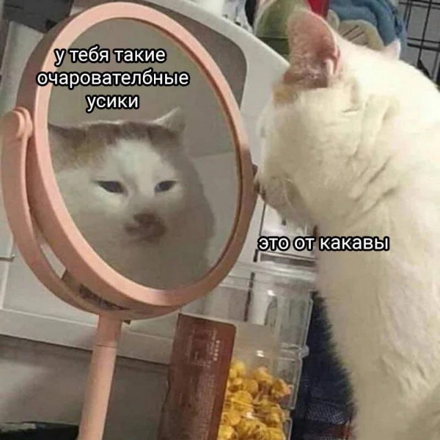Прикольные и просто красивые картинки 16.02.2024