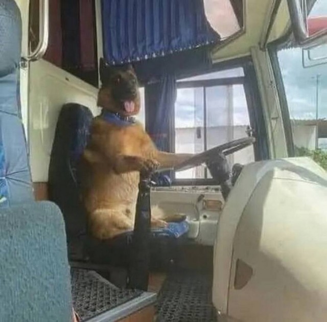 ФотоВинегрет