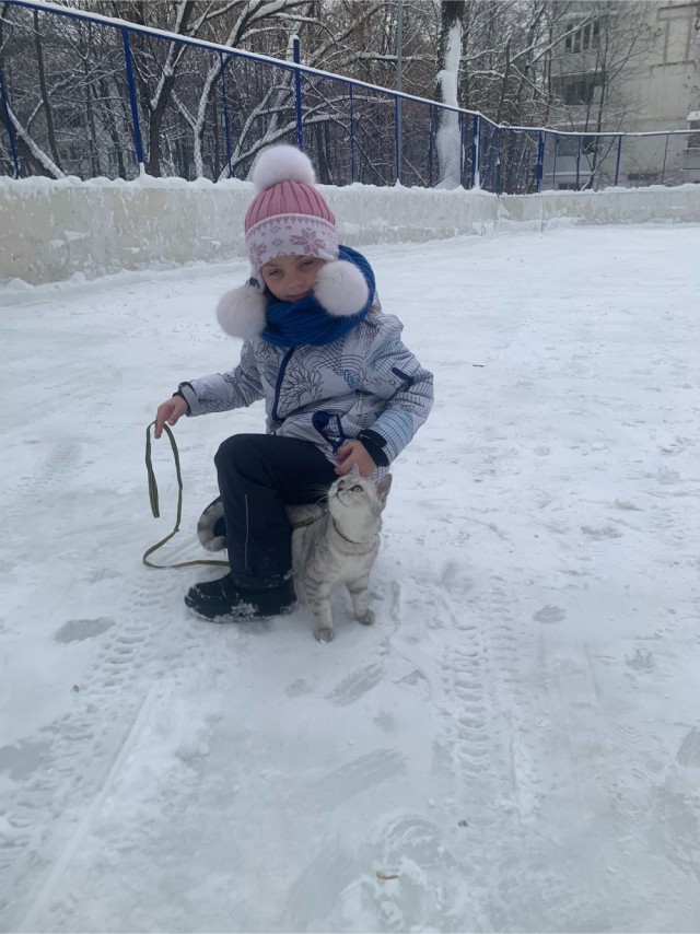 Все собаки дураки!