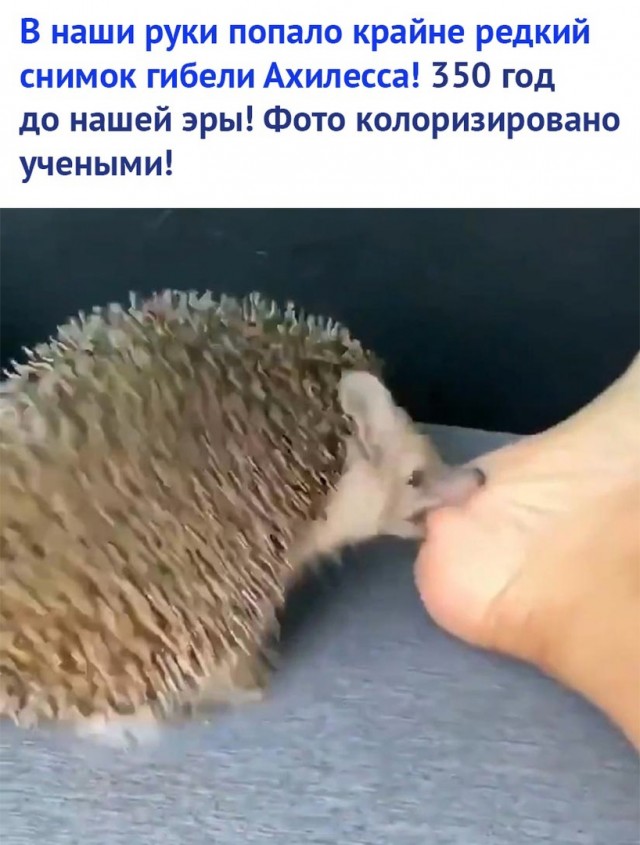 Весёлые картинки