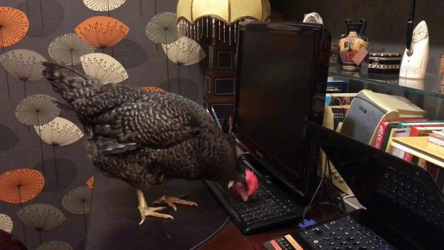 ФотоВинегрет