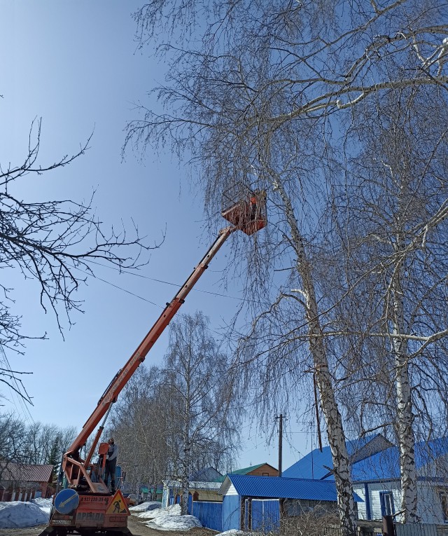 Камикадзе