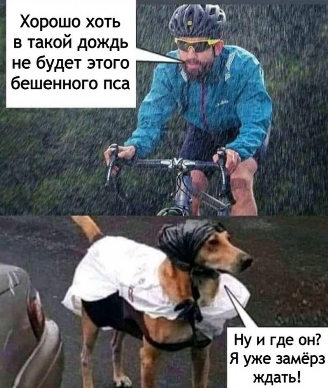 Отряд быстрого деградирования