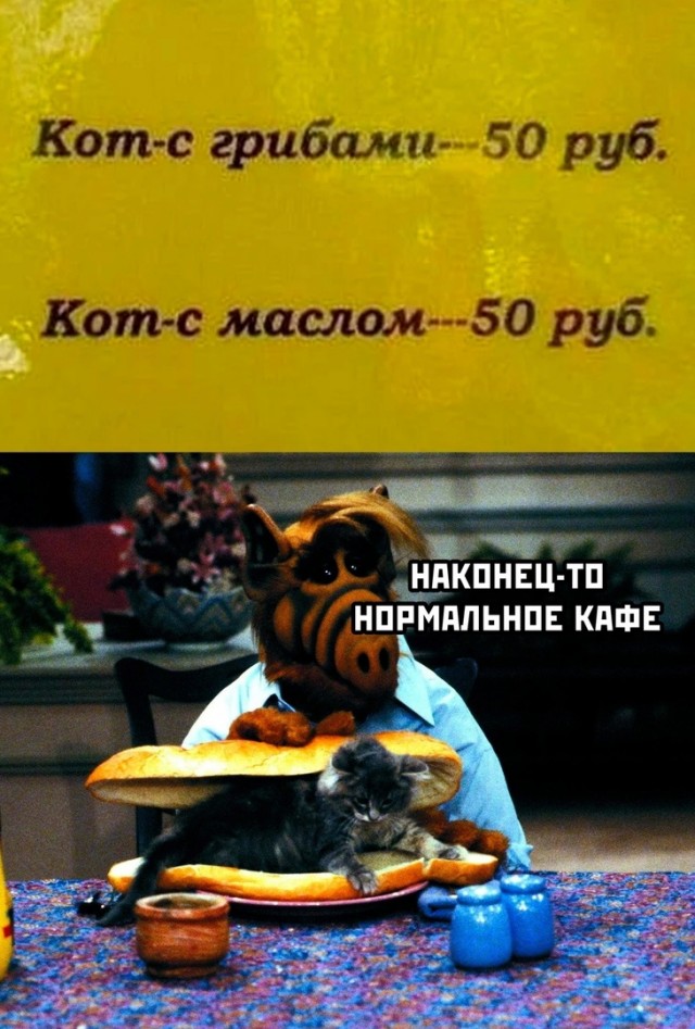 Так себе картинки 05.06.24