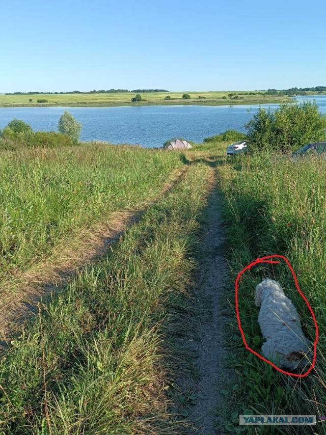 Вазузское водохранилище