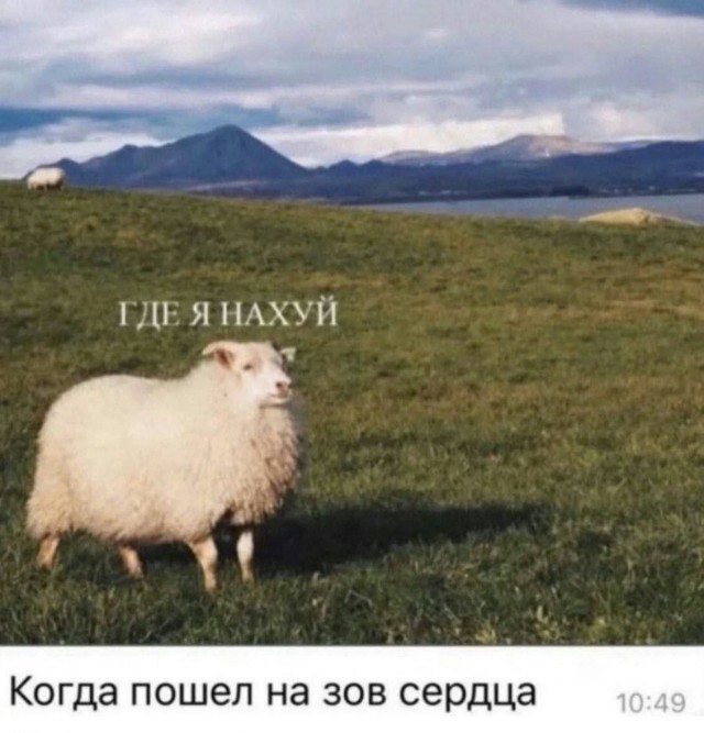 Нуштош 29.07.2024