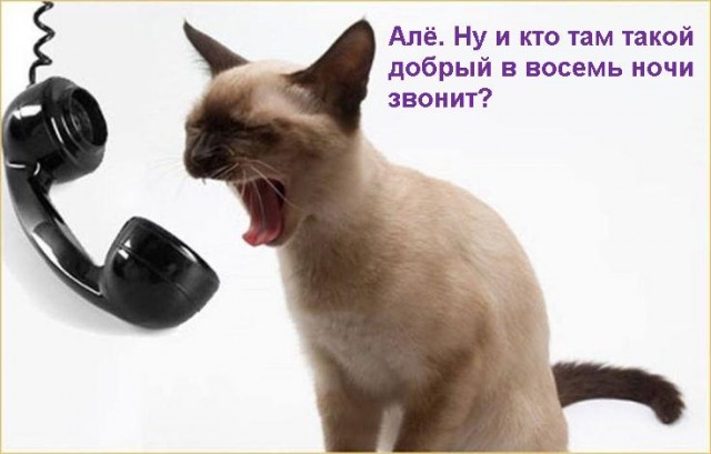 Картинки разные с надписями и без