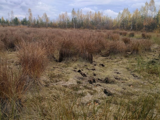 Осень на озёрах 2