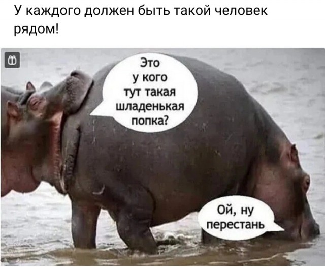 Пятничная солянка