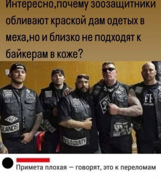 Так себе картинки 14.11.24