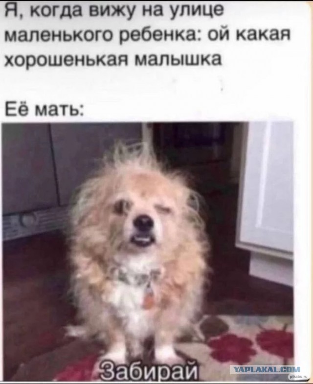 Картинки 23.04.25