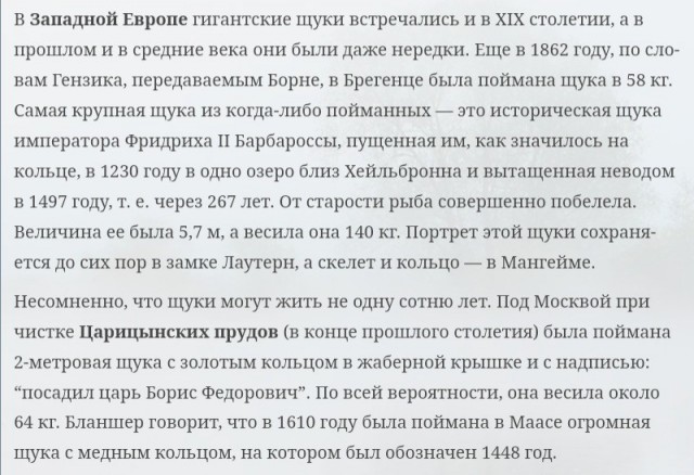 Что скрывает щука: неожиданные факты, которые могут удивить даже бывалых рыбаков