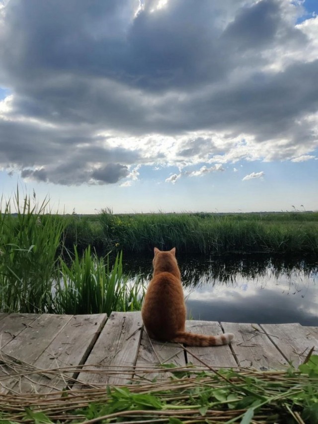 ФотоВинегрет