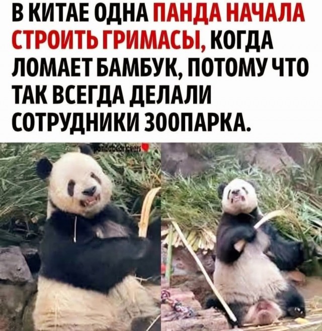Пятничные тРРРидцать тРРРи!