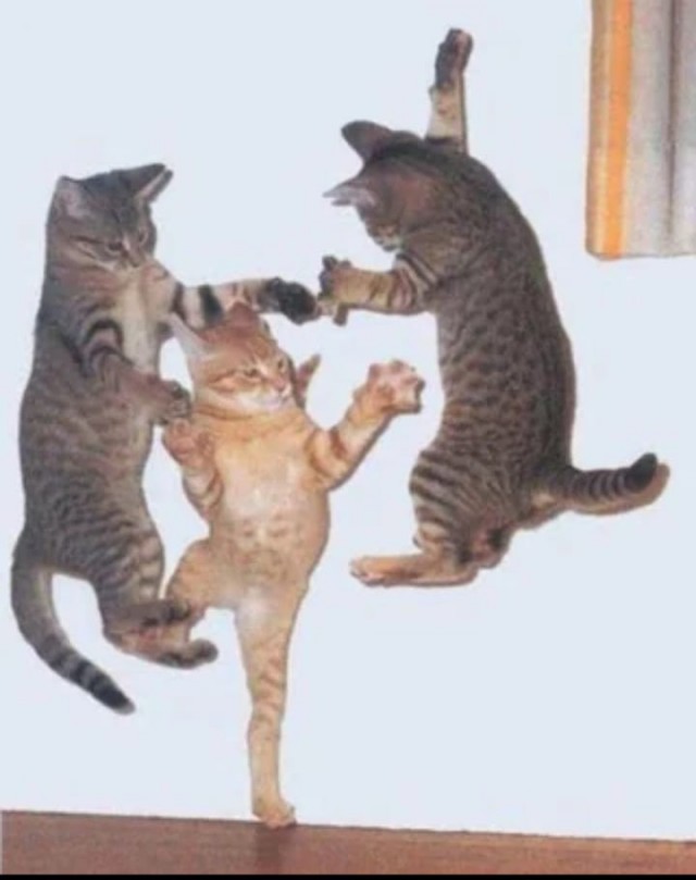 В честь Дня семьи, любви и верности