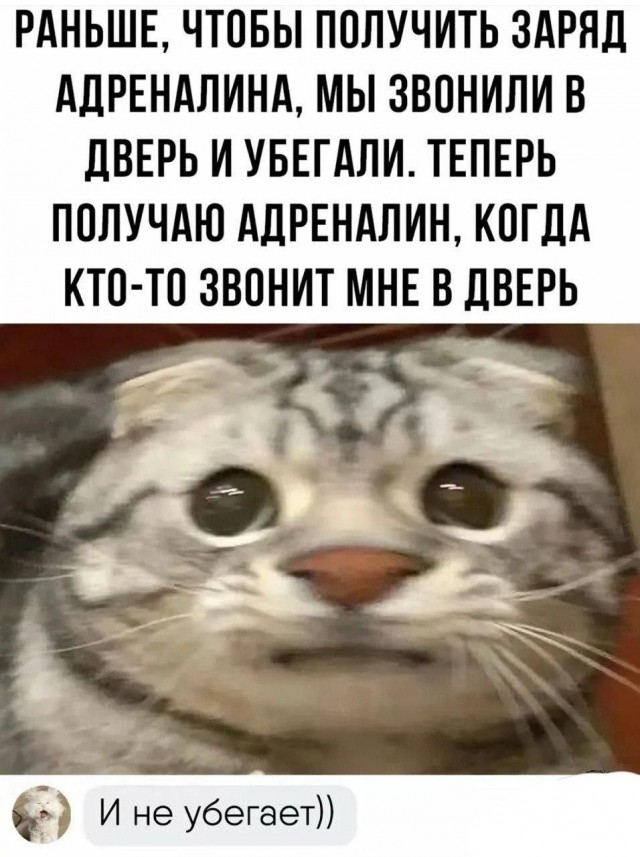Немного картинкафф для настроения (баяны-перебаяны)