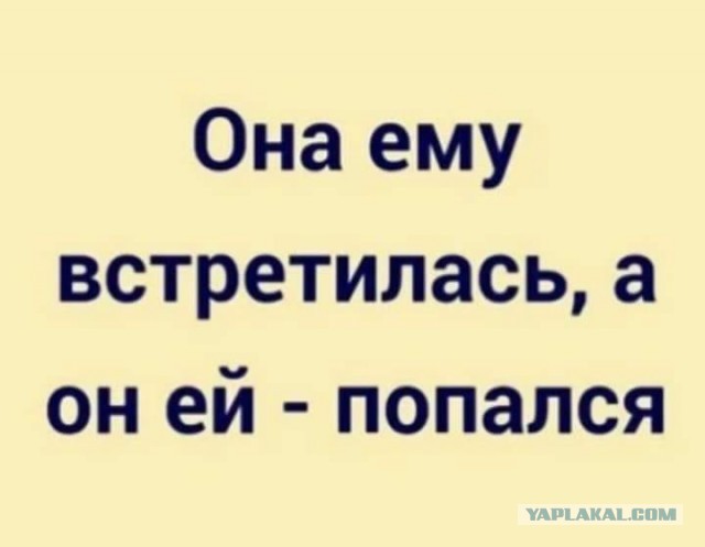 Так себе картинки 15.11.25