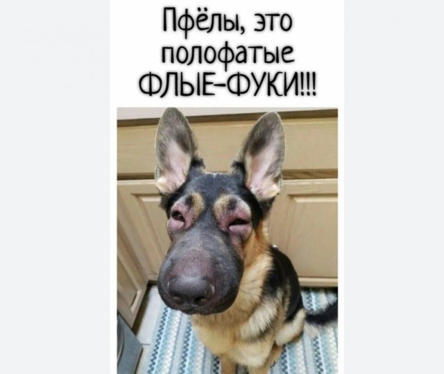 Пусть ваша жизненная ладья будет легка