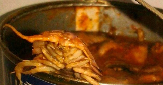 Диетический рамен студента