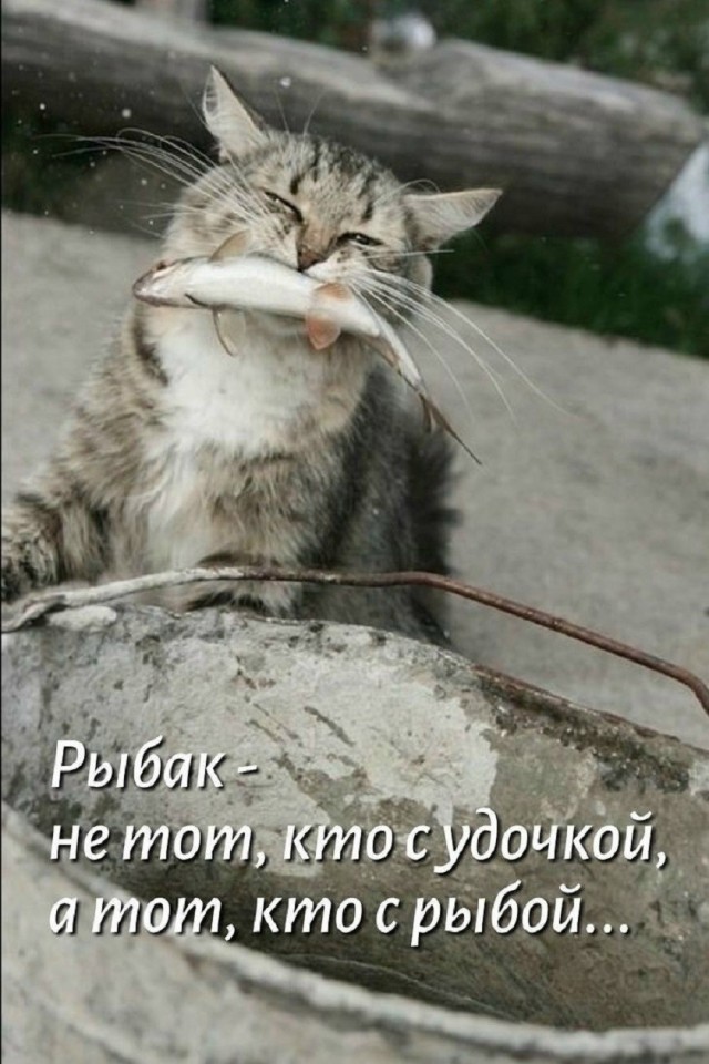 Так себе картинки 15.05.26