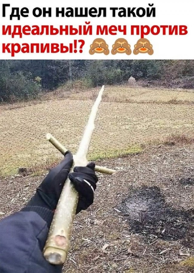 Так себе картинки 12.06.26