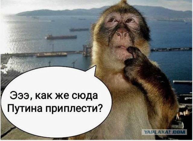 Зачем кому-то чужие проблемы?⁠⁠
