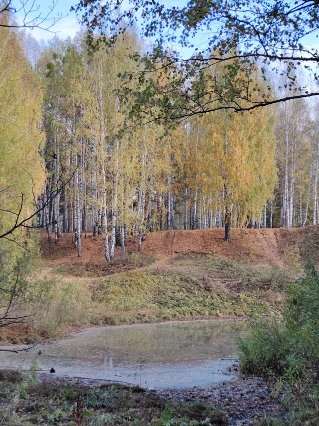 Фото сделанные по дорогам России