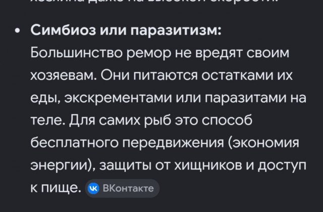 Дельфин приплыл за помощью и получил ее