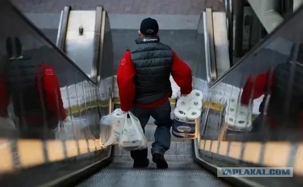 В Америке возможен дефицит туалетной бумаги или подорожание