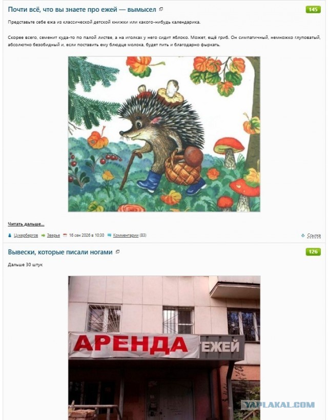 Вывески, которые писали ногами