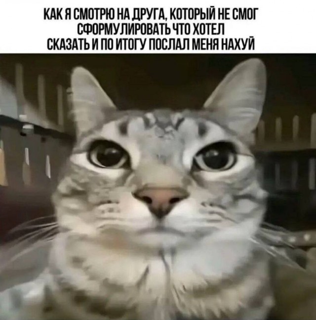 Картинки для деградации 291 (разной степени свежести)