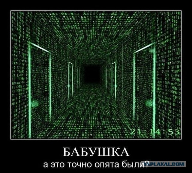 Как делает лиса? Вынос мозга.