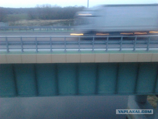 Где яблоки растут!