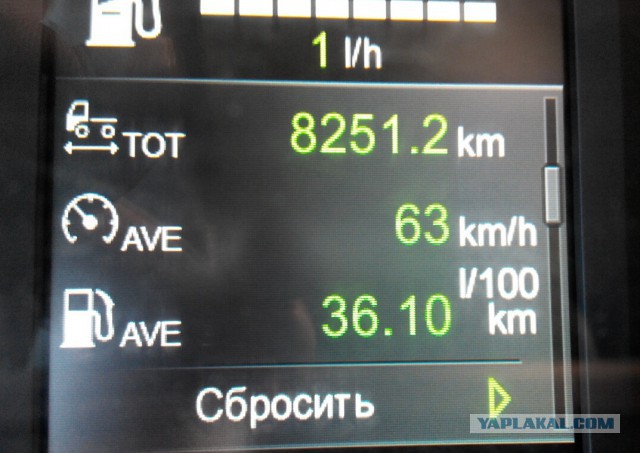 Озеленение Владивостока.
