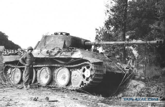 Wargaming 12, WoT сотоварищи